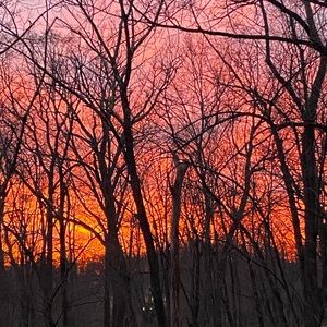 Meet your Posher, Barrie